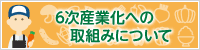 6次産業化への取組みについて